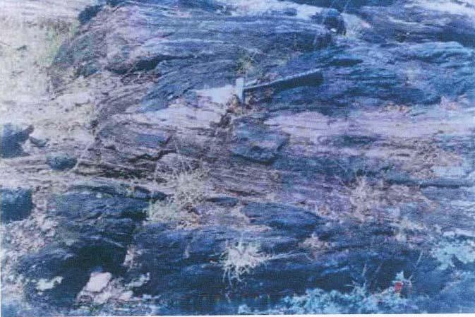 biotite Zoned zircon, muscovite, apatite, purple fluorite, garnet and pyrite as accessories Hypidiomorphic and