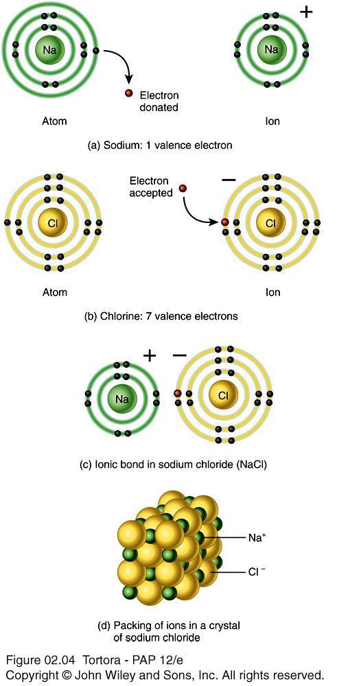 Formation of Ions o What are ions and how do they form?