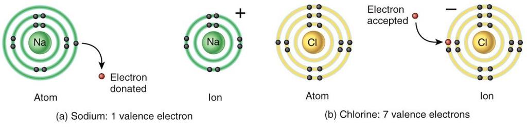 Ionic and Covalent Bonds Atoms form octets
