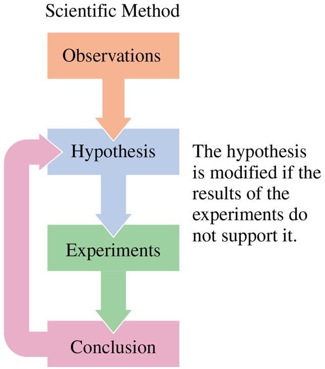 Using scientific method o The hypothesis is modified if the results of the experiments do not support it.