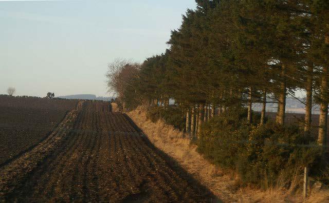 Windbreaks Improve Farming Can you locate the natural windbreak in this