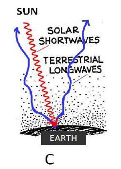 Q10. Diagram C shows LW (IR) terrestrial radiation going right through the atmosphere out to space. Is this an accurate depiction of how the Greenhouse Effect works?