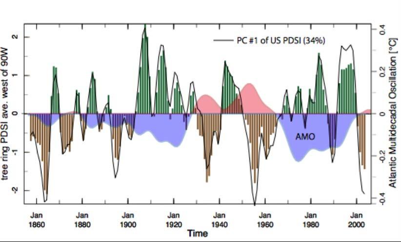 Atlantic Multidecadal Oscillation (AMO) has been shown to affect the frequency and