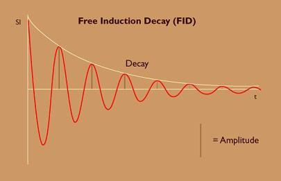 Free Induction Decay (FID): The induction in