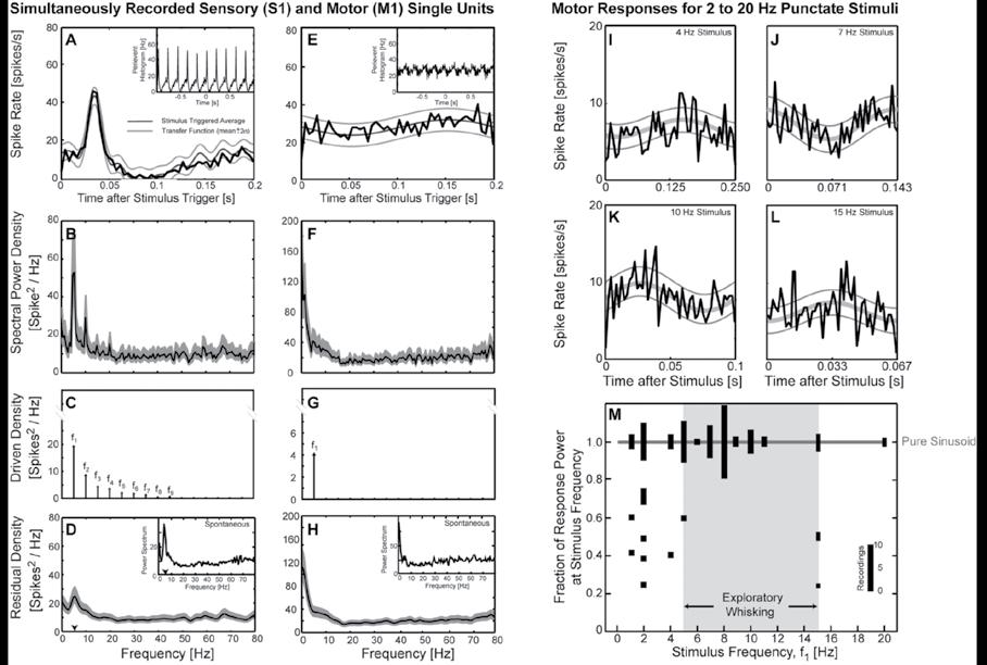 Application of Spectral Methods to Representative Data Sets in Electrophysiology and Functional Neuroimaging 29 Figure 3.