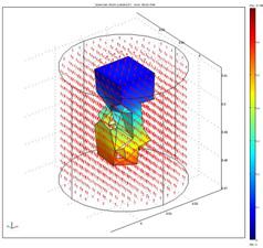 electromagnetic field and σ is the electrical conductivity. The electrical potential distribution from 0V (blue) to 700 mv (red) of the Micro-CT bone sample is shown in figure 8 and 10.