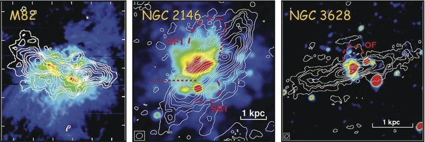 (1) more precise dust mass (+SMA) (2) metallicity dependence of [N II] 205 µm