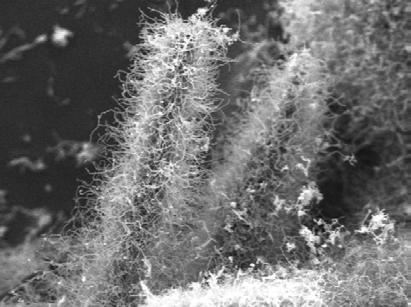 unknown force; d) High-magnification SEM image of soft carbon balls, showing that the carbon balls consist of microsized worm-like curly carbon fibres with a tidy surface.