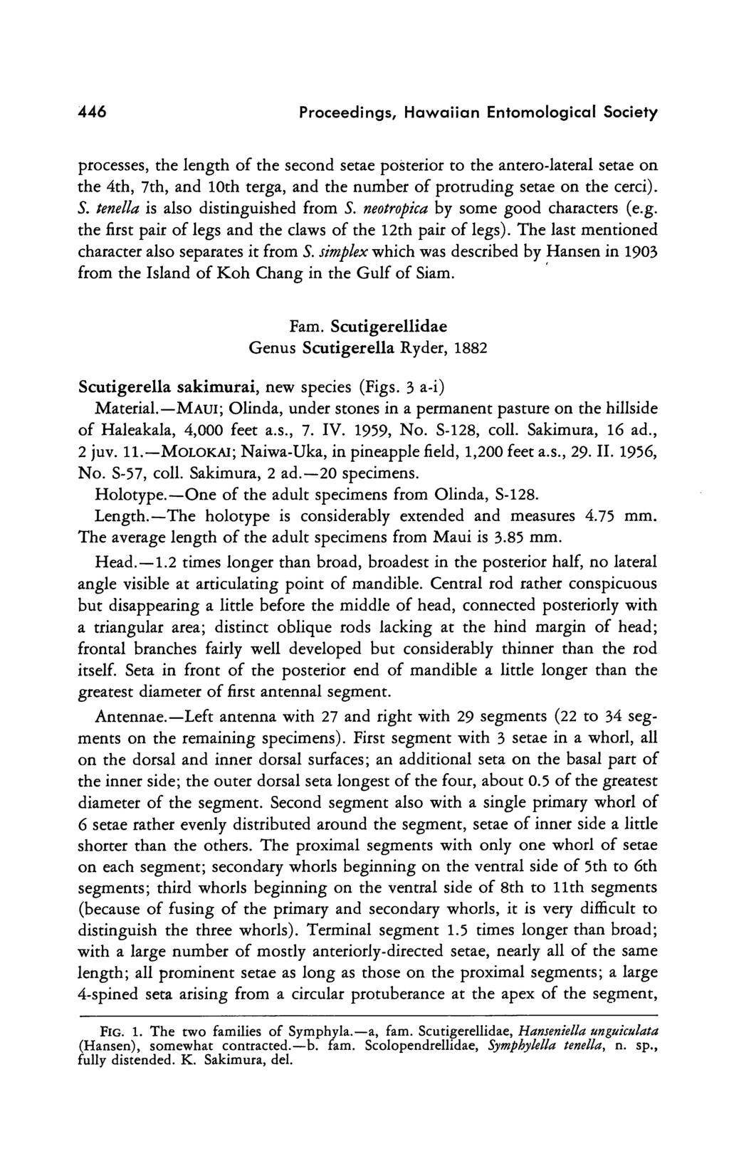 446 Proceedings, Hawaiian Entomological Society processes, the length of the second setae posterior to the antero-lateral setae on the 4th, 7th, and 10th terga, and the number of protruding setae on