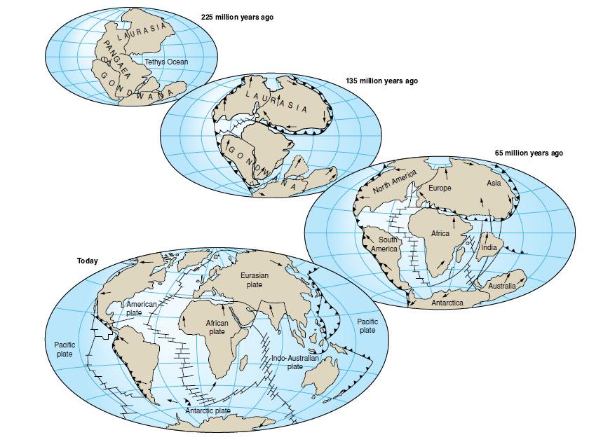 with suggestions that disproved, or so they thought, Wegener s theory 1. What made the continents move?