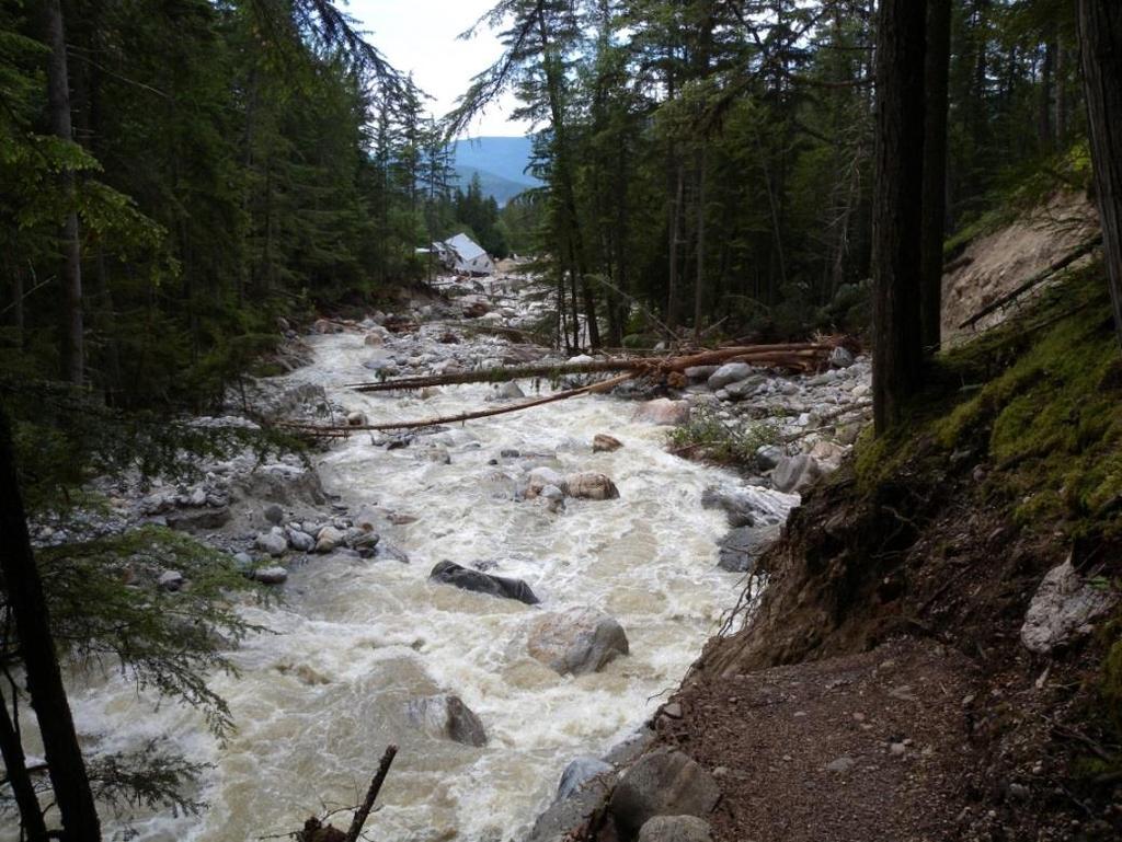 SICAMOUS CREEK Riparian removal for development on the fan