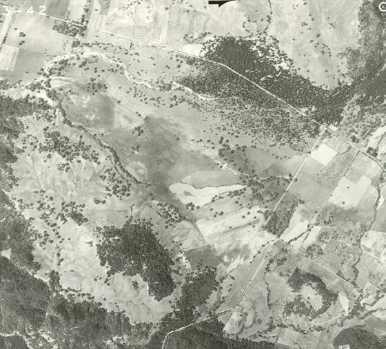 1942 Braided Channel Wetland Oak Savanna