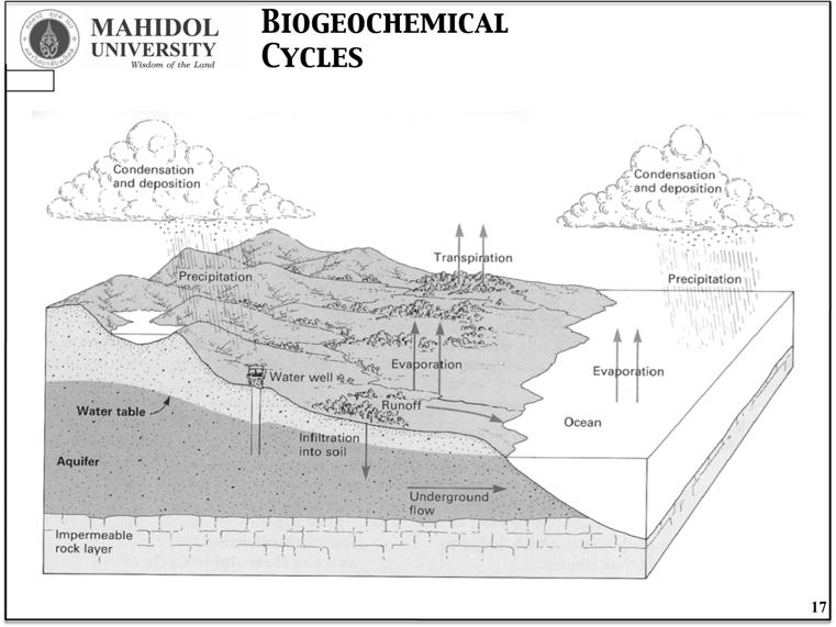 Hydrologic s 0.001% The Earth's atmosphere consists by volume of nitrogen (79.