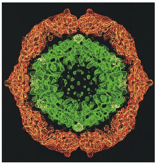 Virial Assembly: Helical and Sphere-like RNA Virus (Tsuruta et al.