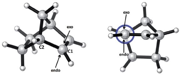 Torsional Control of Stereoselectivities: Electrophilic Additions and Cycloadditions to Alkenes Favored Disfavored Exo Endo Cycloadditions of phenyl