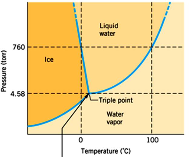 Pure Water Triple Point All three phases exist in equilibrium simultaneously Pure H 2 O Dashed lines at 760 torr (1 atm) that intersect solid/liquid and liquid/ gas curves Give T for freezing point