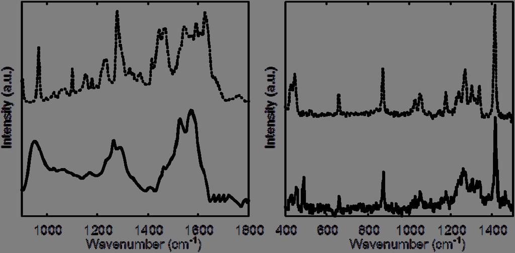 (a) (b) Figure S1. FT-IR (a) and Raman (b) spectra of AQ coordinated on TiO 2 (solid line) and AQ in the solid film (dotted line).