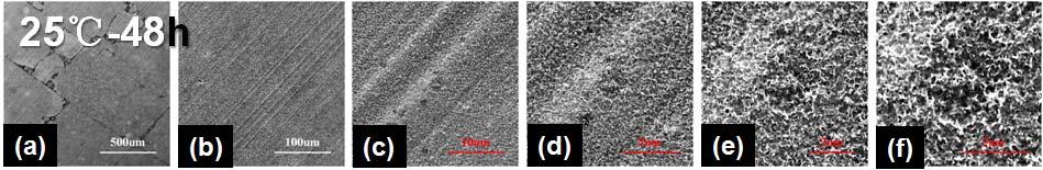 S20-S24. Fig. S19. The SEM images of the fresh aluminum foil surface Ⅱ.