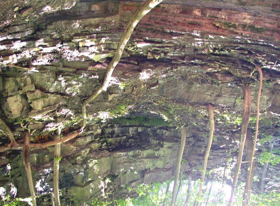 Stratigraphy Exposed at Sherman Falls Lockport Formation Rochester