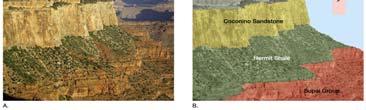 strata in the Grand Canyon Lateral Continuity