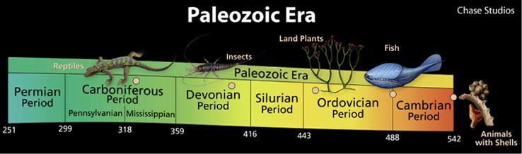 Paleozoic Era PALEOZOIC ERA 544