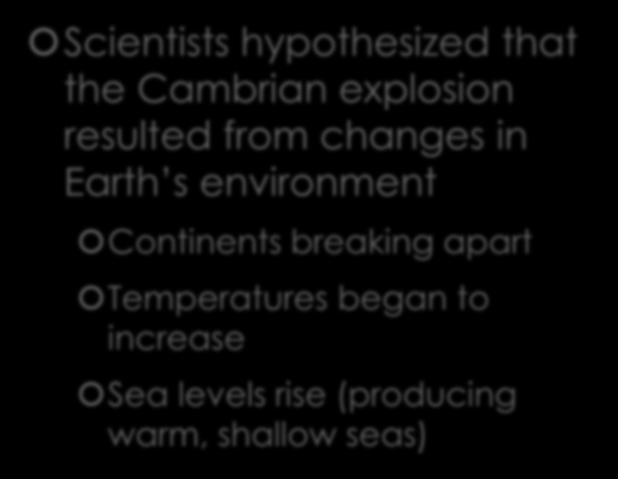 The Cambrian Period Scientists hypothesized that the Cambrian explosion resulted from changes in Earth s