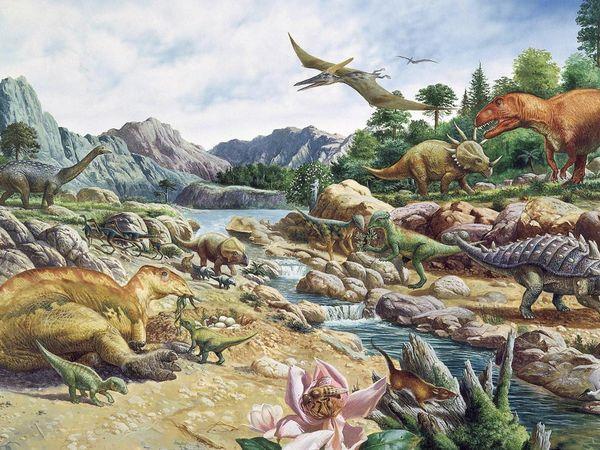 of dinosaurs Other organisms survived: Flowering plants, snails and