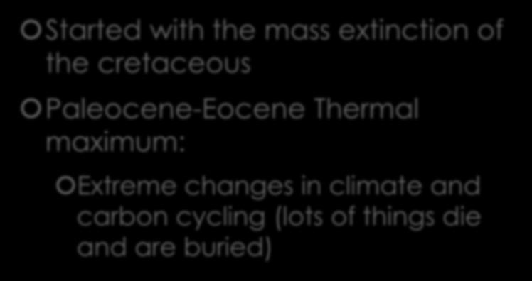 Paleocene Epoch Started with the mass