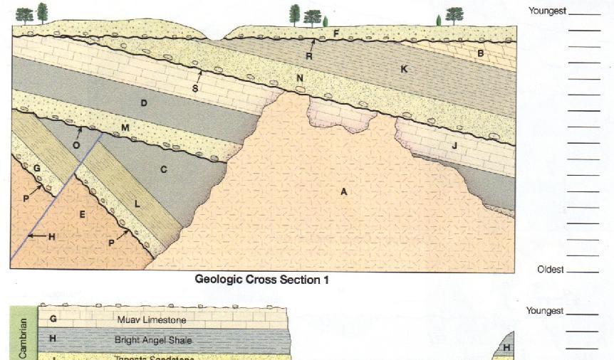 Application of Relative Dating Principles to a Geologic Cross