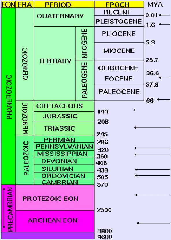 The Geological Timescale Quiz Need to Memorize: 1) The 2 Eons 2) The 5 Eras 3)