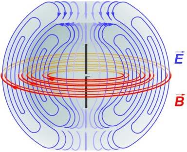 These are actually spherical waves, not plane waves, and their amplitude decreases like 1/r.