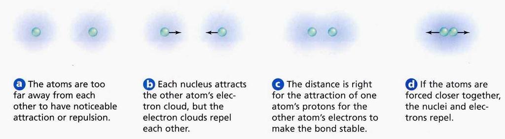 mini-summary this is a covalent bond because outer
