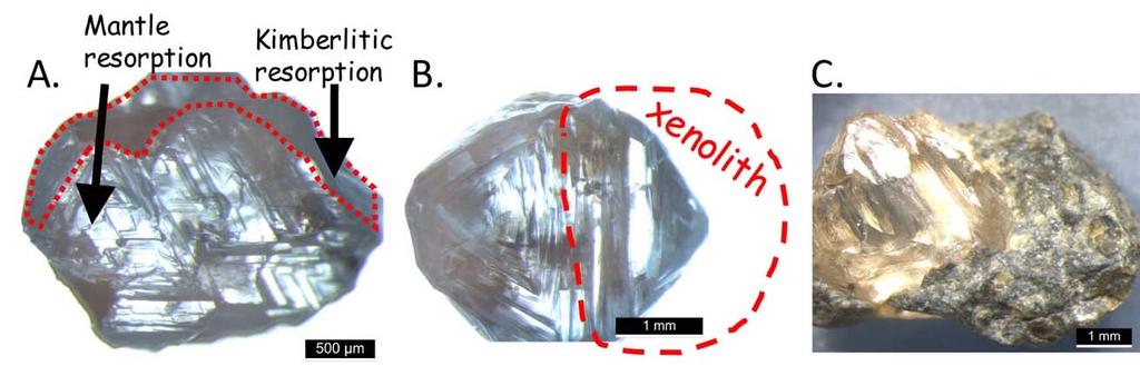 31 32 33 Figure DR1-1: Classification tree showing diamond resorption morphologies developed during resorption in kimberlite magma and in different mantle environments.
