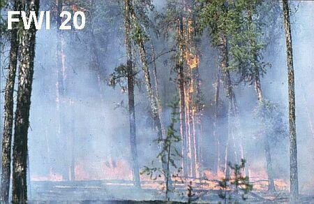 Fire behavior in jack pine stands as related to the