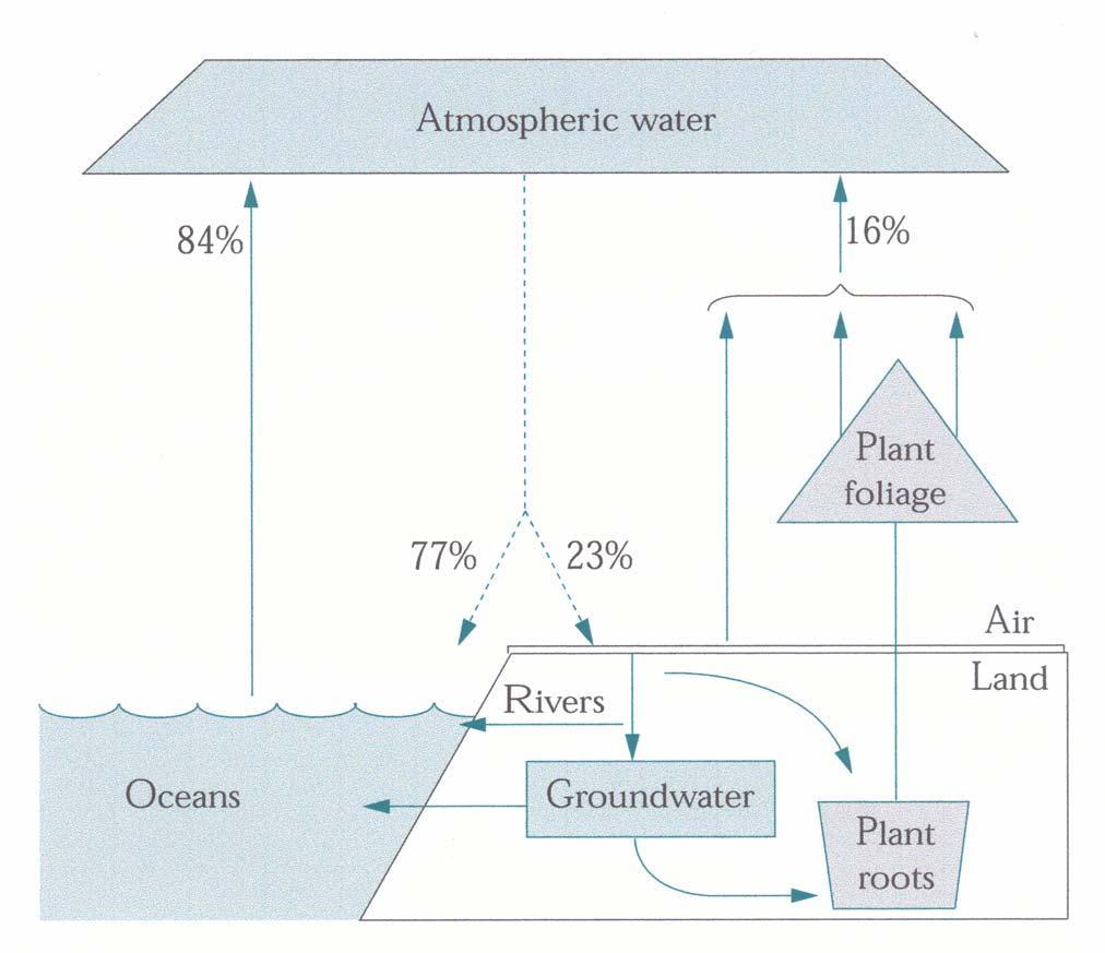 WATER water in the biosphere water in the landscape water in