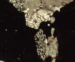 5 plagioclase and projecting into K-feldspar (Fig. 3), and (c) as inclusions in K- feldspar (Fig. 4). Fig. 2.