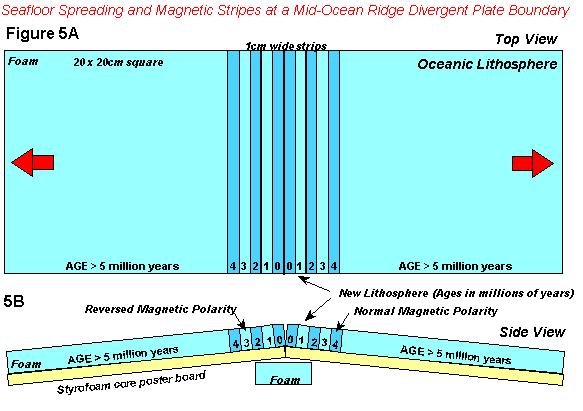 Part 2: Divergent Plate Boundary and Sea Floor Spreading Prepare the foam pieces that represent the oceanic lithosphere at a spreading center (midocean ridge divergent plate boundary) as shown in