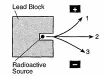 14. The diagram below represents radiation passing through an electric field. 20. Which term represents a nuclear reaction? A) combustion B) fermentation C) transmutation D) saponification 21.