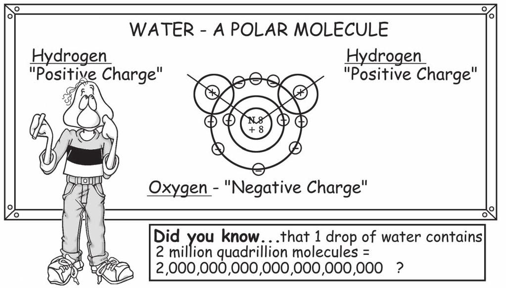 When the water molecule is formed, the electrons from the hydrogen atoms move closer to the oxygen atom making the electron placement unbalanced in the molecule.