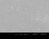 extracted film surface of