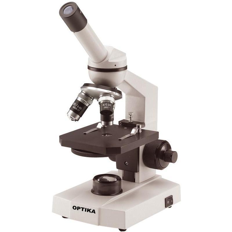 Using a Microscope Most cells are to small to be clearly seen by eye and require a microscope to view.