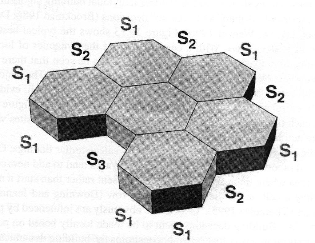 Figure 6: (Camazine et al., 2001) Diagram showing positions having one (S1), two (S2), and three (S3) walls in common with an added cell. activities of the group.