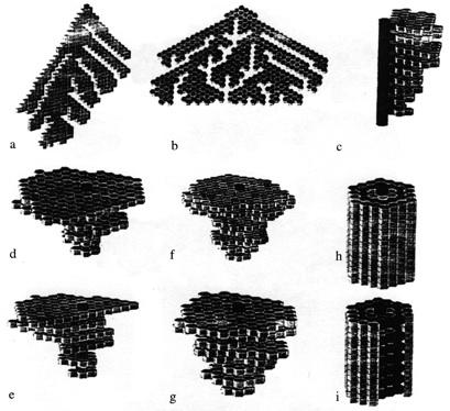 Figure 7: (Camazine et al., 2001) Wasp comb structures generated from coordinated algorithms representing qualitative stigmergy. Real wasp species construct similar combs.