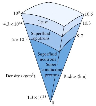 Internal Structure of a Neutron Star Glitches in Neutron Stars Protons & Electrons In Neutron Stars Pressure & temperature are extremely high Great majority of p + & e are forced to join as neutrons