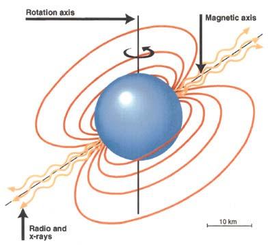 Radio pulsars: basic model First discovered by Hewish & Bell 1967.