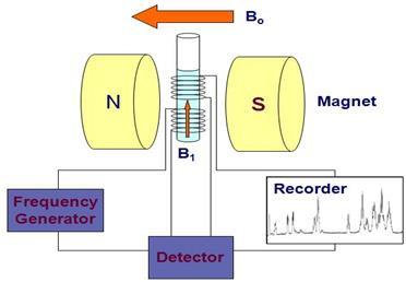 Radio frequency radiation is absorbed by the nuclei in the sample and causes them to spin against the magnetic field. (known as exciting the nulcei.