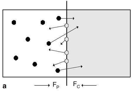 Coupling Techniques Coupling by Fluxes [1], [2] Coupling at equation level by mean of a weight function [3]: W(x,t) State Based Coupling [4] DSMC: state based mandatory for lower scattering error