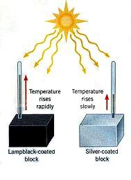 ! Any object that has temperature radiates heat.