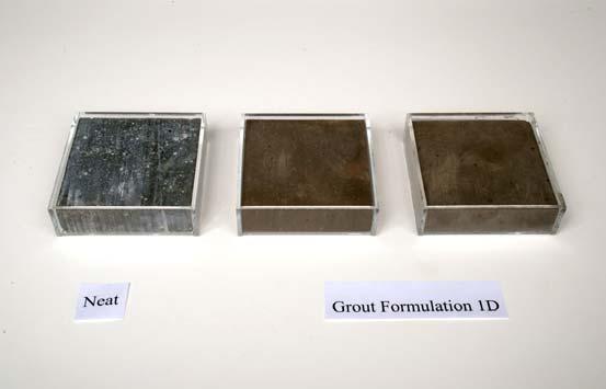 Figure 1. Grouted samples generated using Gamma Guard I and Portland cement and the neat Portland cement sample.