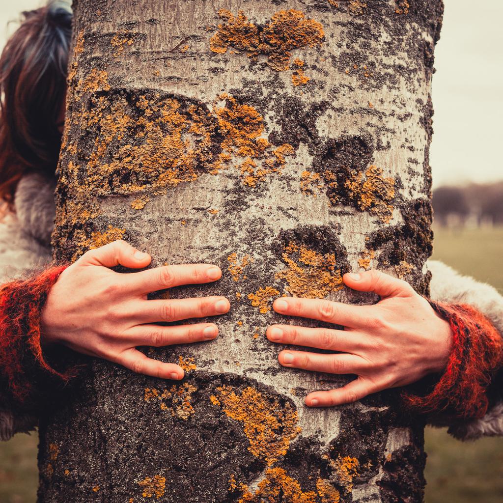 2. Hug a tree. Nature is our best healer for restoring balance on all levels of being.